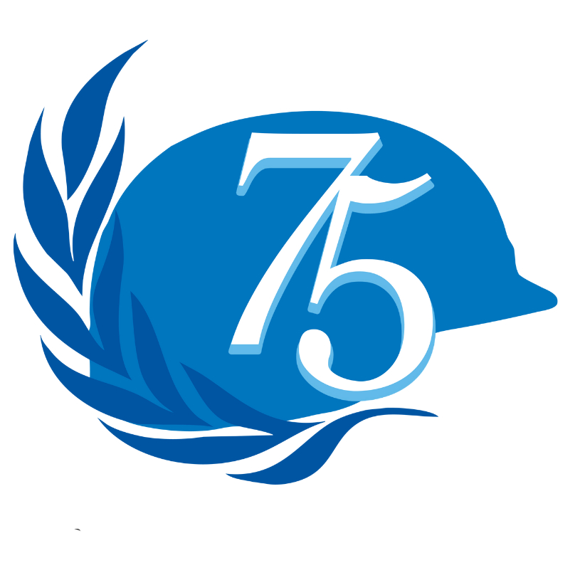 Département des opérations de paix 2022