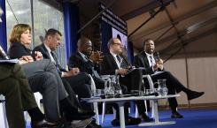 Mistakes and successes on the path of peace Panel