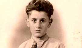 Un témoignage pour la paix: André Landesman