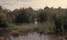 Au Mexique, les enjeux de la bataille pour l’eau