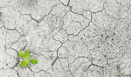 « Réfugiés climatiques » : une décision historique du Comité des droits de l’homme de l’ONU ?