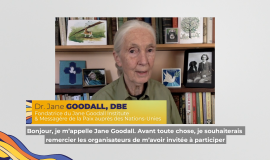 L'environnement au Forum 2020