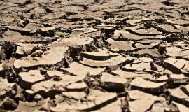 Face au changement climatique, les agricultures africaines au défi de la sécurité alimentaire