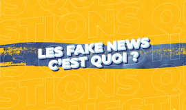 Les fake news, c'est quoi ? 