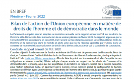 Taking stock of EU action on human rights and democracy