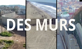 Websérie INA - Un mur, des murs : pour quoi faire ?