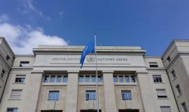 Guerre en Ukraine : le rôle des organisations internationales