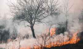 Pourquoi les femmes souffrent davantage des catastrophes naturelles et des migrations