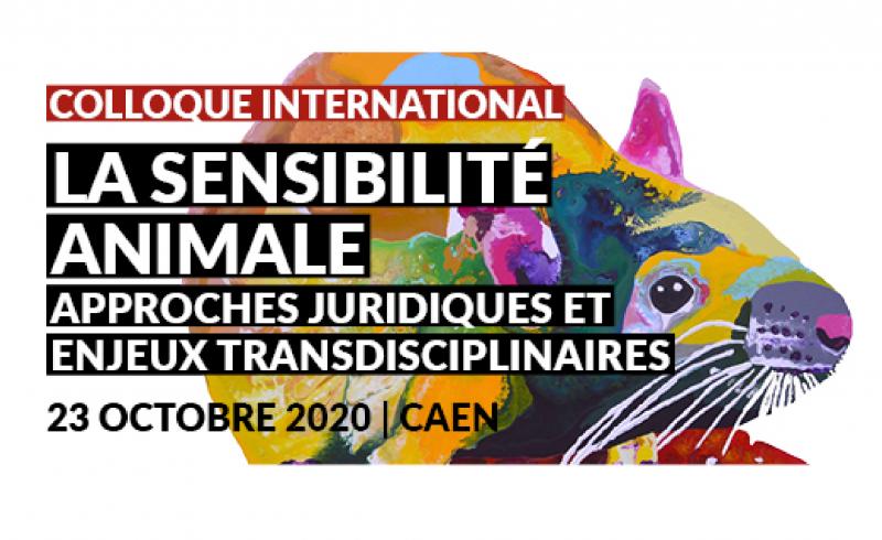 Sensibilité animale