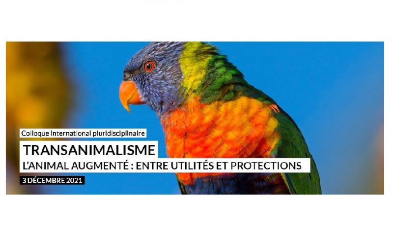 Colloque transanimalisme