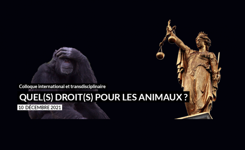 Colloque droits animaux