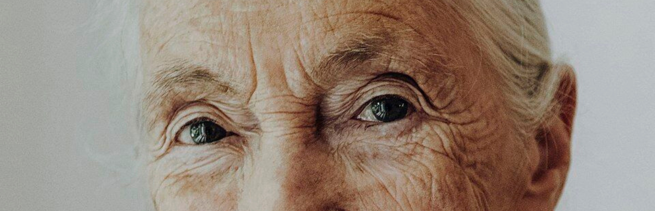 Jane Goodall - copyright Johanna Lohr