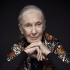 Jane Goodall